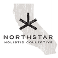 Northstar Holistic Collective logo