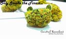 Central Remedies photo