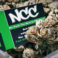 NCC Meds logo