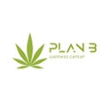 Plan B Wellness Center logo