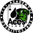 Ace's Place logo