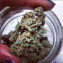 Green Tree Medicinals - Longmont photo