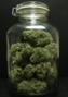 Green Giant Health Care photo