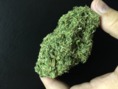 Green Giant Health Care photo