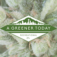 A Greener Today - Shoreline logo