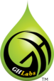 GH Labs logo