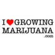 ilovegrowingmarijuana.com - Accessories logo