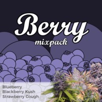 Berry Mixpack image