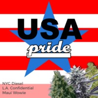 USA Pride Mixpack image