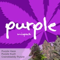 Purple Mixpack image