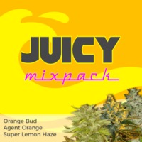 Juicy Mixpack image