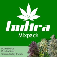 Indica Mixpack image