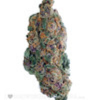 Blueberry (Fem) image