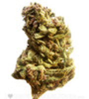 Jack Herer (Fem) image