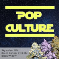 Pop Culture Mixpack image