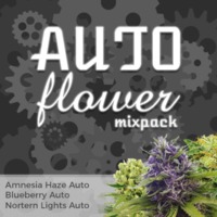 Autoflower Mixpack image