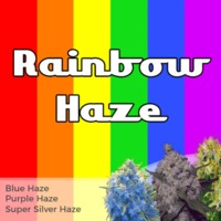 Rainbow Haze Mixpack image