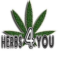 Herbs4you logo