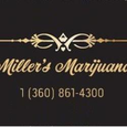 Miller's Marijuana logo