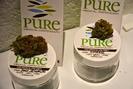 Pure Marijuana Dispensary - Bannock photo