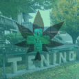 The Herbal Center - Tenino logo