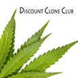 Discount Clone Club logo