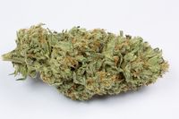 Bubba Kush - F1 Kush image
