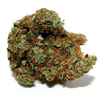 Tangerine Haze - G13 x NYC Diesel image