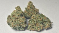 Blue Dream (aka Azure Haze)  - DJ Short's Silver Haze x Blue image