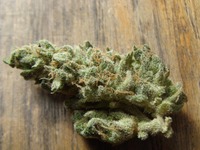 Nevils Abusive Wreck-from RareDankness Abusive OG (OG Kush) image