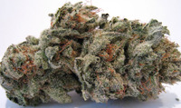 Ogre - Special Sensi Star genetics from California image