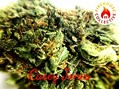 Firehouse Collective photo