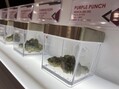 Red Roots Dispensary (Formerly Aroma Dispensary) photo