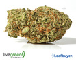 Lakeshore Cannabis photo