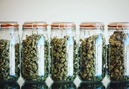 Lakeshore Cannabis photo