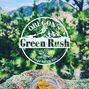 Oregon's Green Rush photo