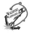 Discovery Cannabis - Waldport logo
