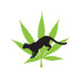 Cougar Cannabis logo