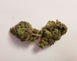 Lucky Monkey Buds photo