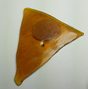 The STONE Dispensary photo