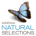 Arizona Natural Selections - Scottsdale logo