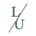 Level Up logo