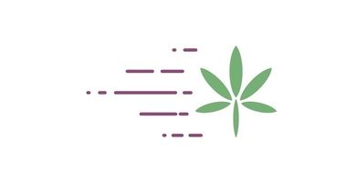 Kushfly Weed Delivery logo