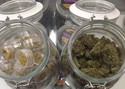 Nectar Cannabis - Barbur photo