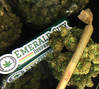 Emerald City Dispensary photo