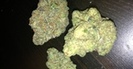 High Rollers Collective photo