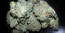 High Rollers Collective photo