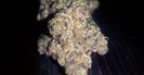 High Rollers Collective photo