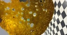 High Rollers Collective photo