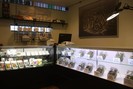 The Lodge Cannabis - Federal photo